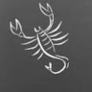 Meet your Posher, Omar